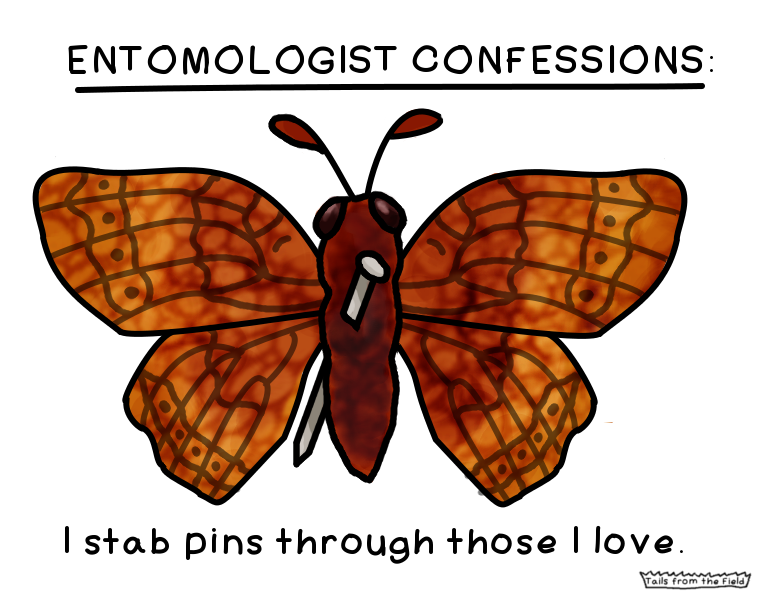 1. Entomologist Confessions