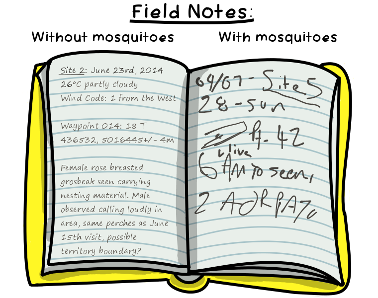 11. Field Notes