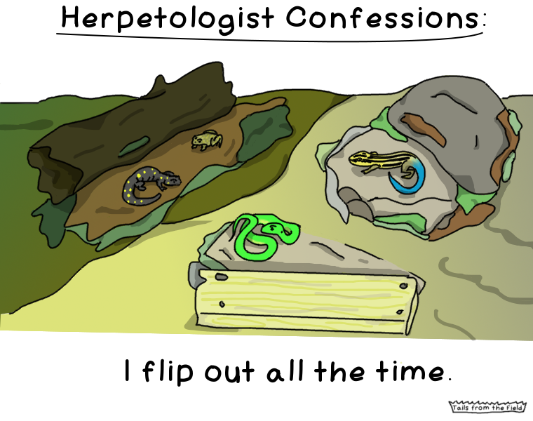 31. Herpetologist Confessions