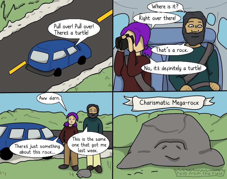 First panel: A car driving on a road, with a speech bubble saying, "Pull over, pull over! That's a turtle" Second panel: Talia and Finn sitting in the car with Finn. Finn asks where the turtle is, Talia says, "right over there", Finn says it's a rock, Talia says, "no, it's definitely a turtle." Third panel: Finn and Talia standing beside a rock at the side of the road. Finn says, "this is the same one that got me last week." Talia says, " awww, darn. There's just something about this rock." Final panel: A close up of the rock, which looks a lot like a turtle, and a banner saying "Charismatic Mega-rock"